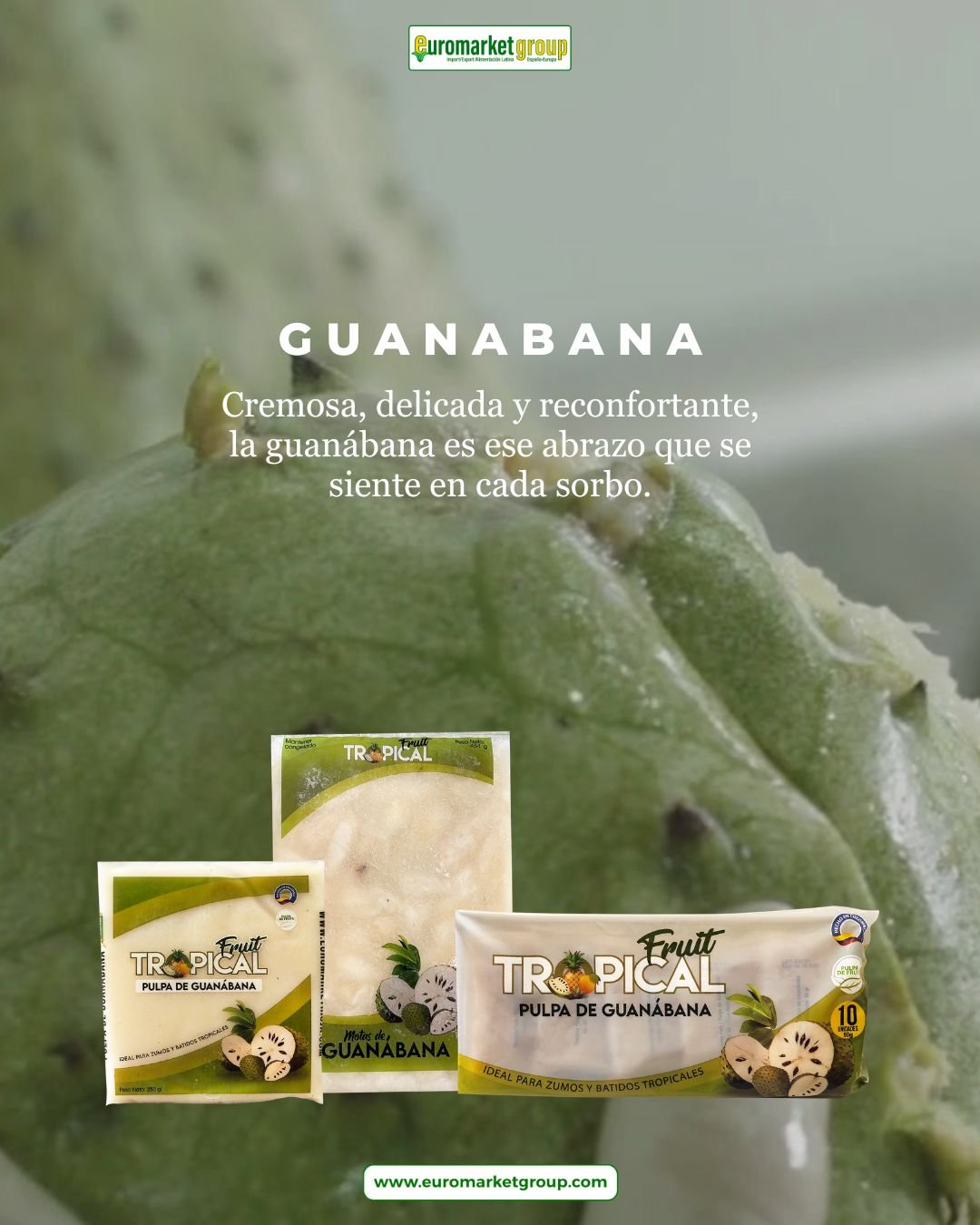 Pulpas de frutas tropicales en España 6