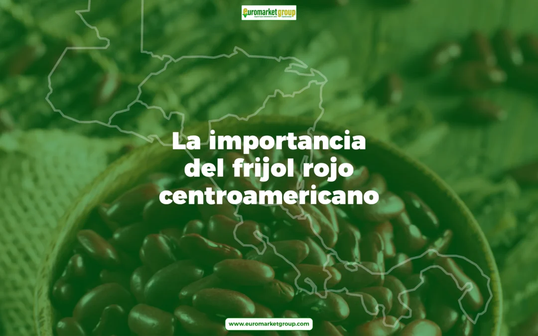 Frijol rojo de seda Centroamericano