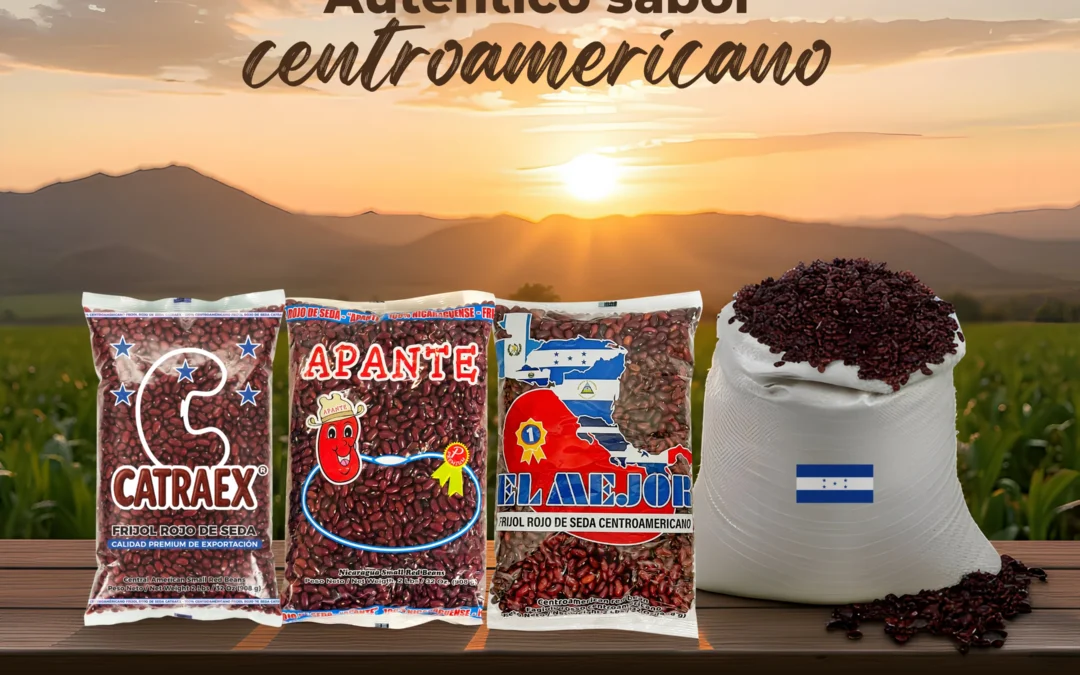 Frijol rojo de seda Centroamericano